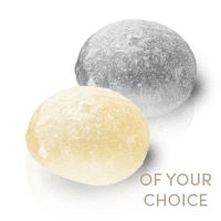 duo-mochi-box