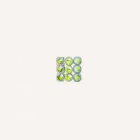 little-veggie