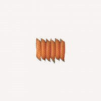 sushi-saumon