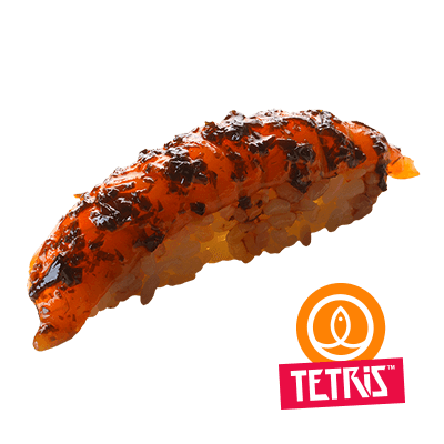 Tsukudani Salmon